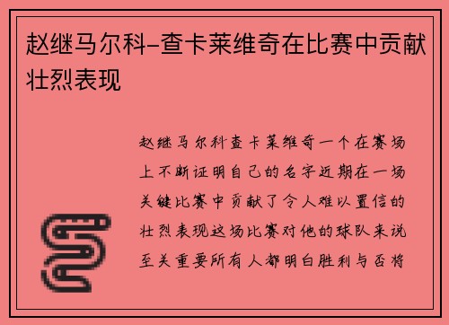 赵继马尔科-查卡莱维奇在比赛中贡献壮烈表现