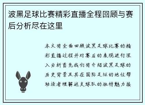 波黑足球比赛精彩直播全程回顾与赛后分析尽在这里